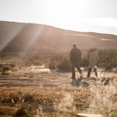 Noorveld-Chicken-Farms-01