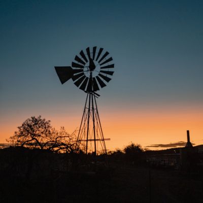 Noorveld-Chicken-Farms-07