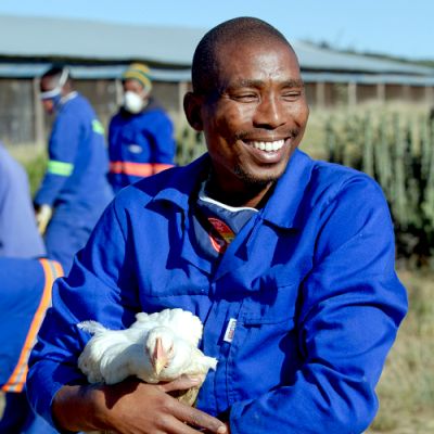 Noorveld-Chicken-Farms-13