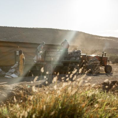 Noorveld-Chicken-Farms-23