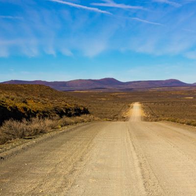 Noorveld-Chicken-Farms-25