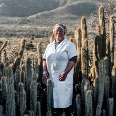 Noorveld-Chicken-Farms-32